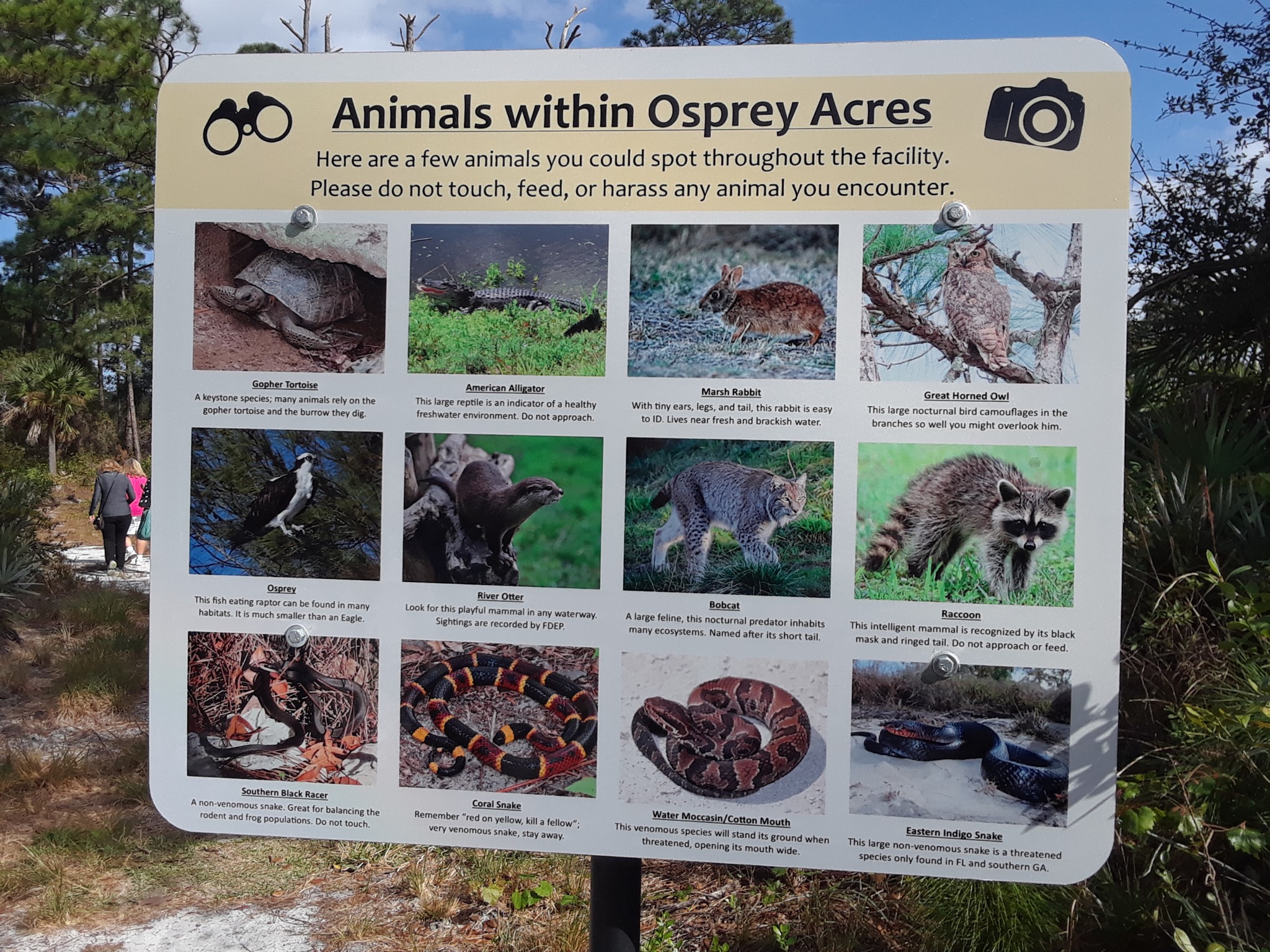 good news sebastian osprey park