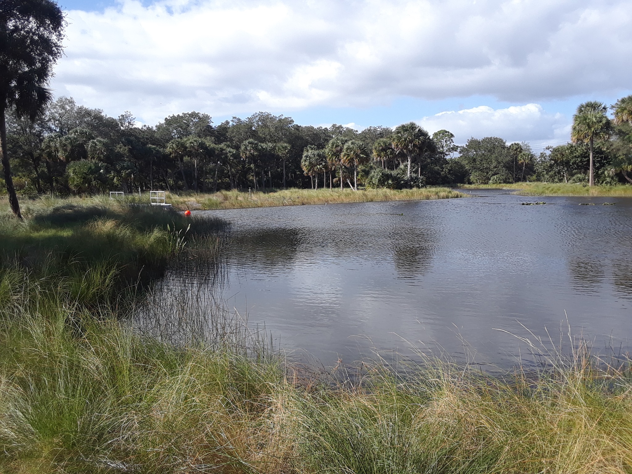 good news sebastian osprey park