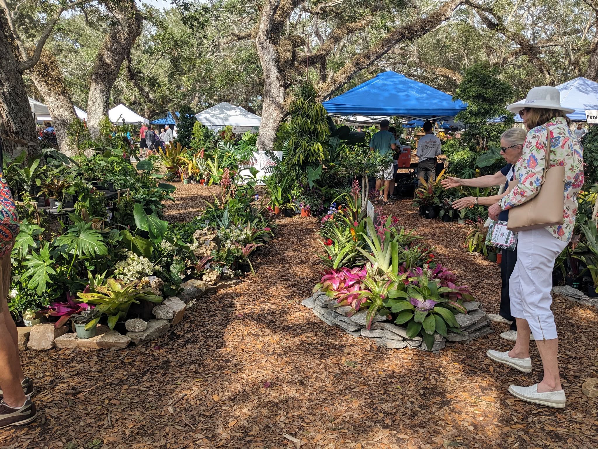 Photo from GardenFest! 2025