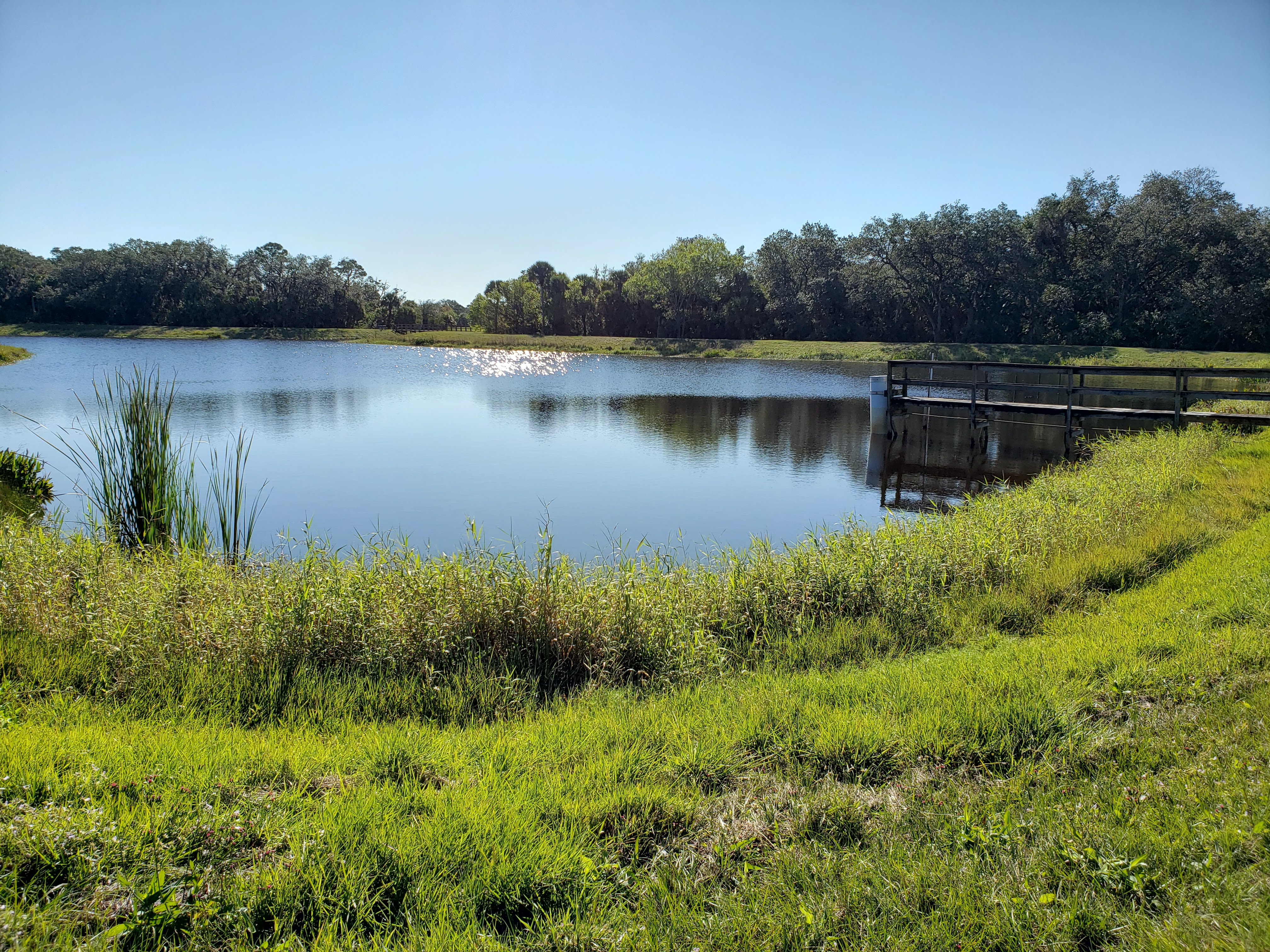 Walk in the Park with Damien and Diana: Sebastian Stormwater Park